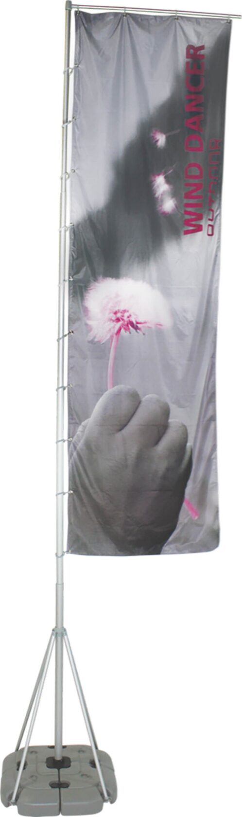 Winddancer Scaled 1.jpg